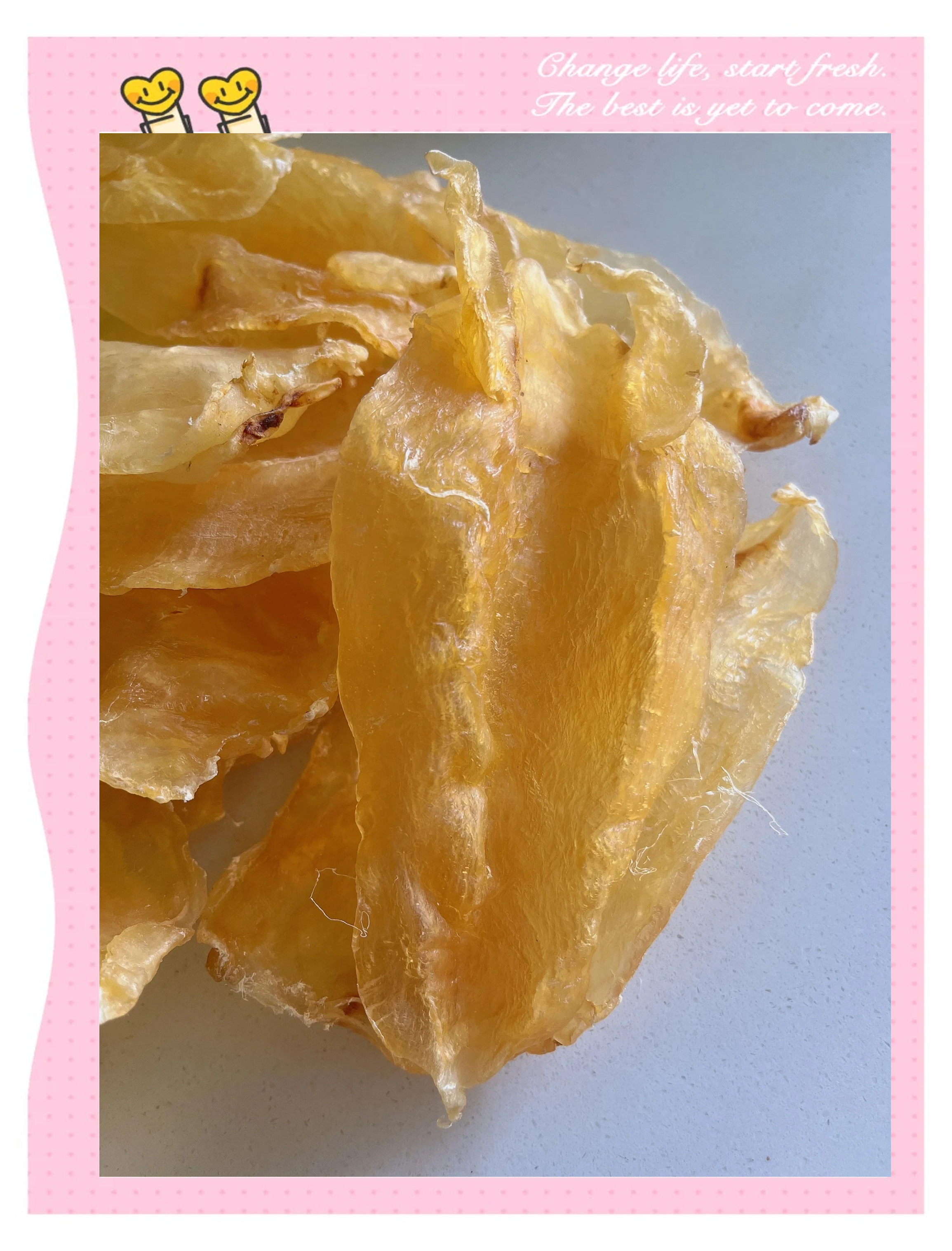 花胶炖牛奶最后才放牛奶吗