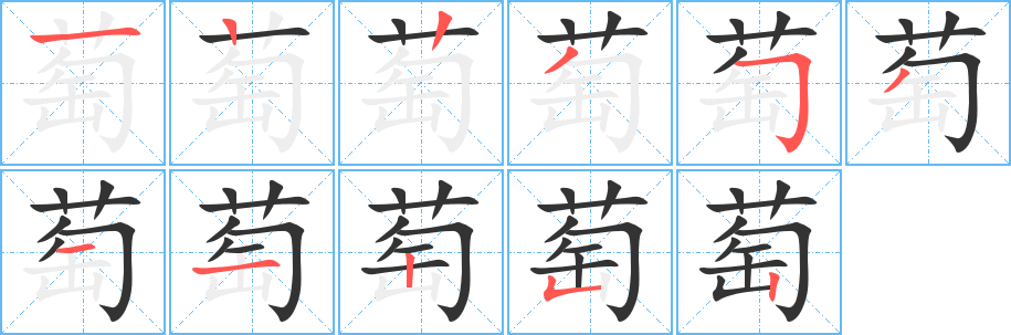 葡怎么组词语